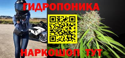 хмурый Апшеронск