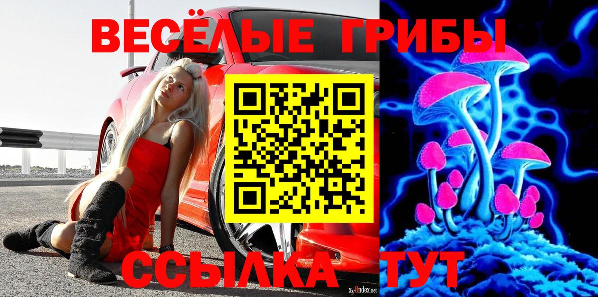 Галлюциногенные грибы Psilocybine cubensis  Белгород  Псилоцибиновые грибы MAGIC MUSHROOMS 