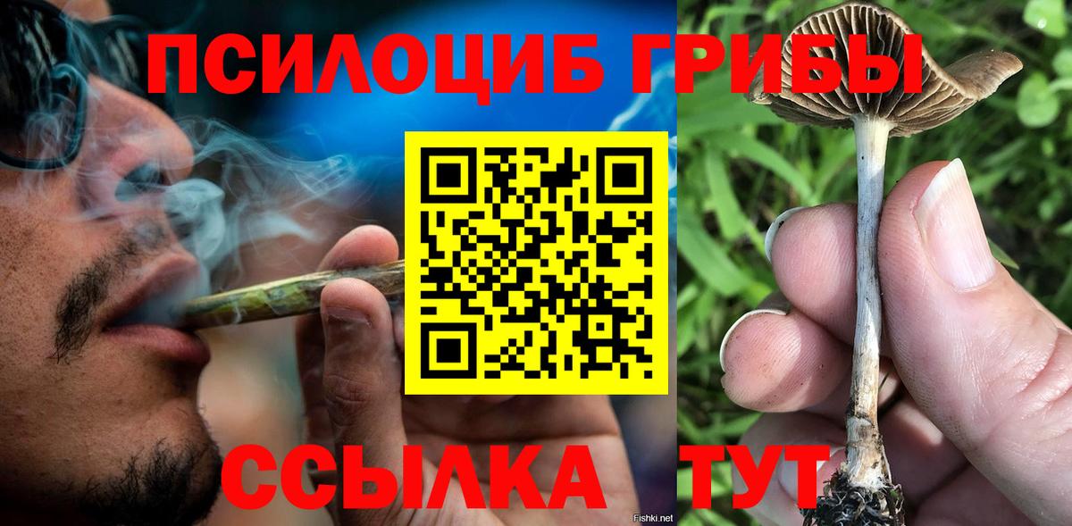 Псилоцибиновые грибы GOLDEN TEACHER  где найти наркотики  Белгород  Вход с VPN 