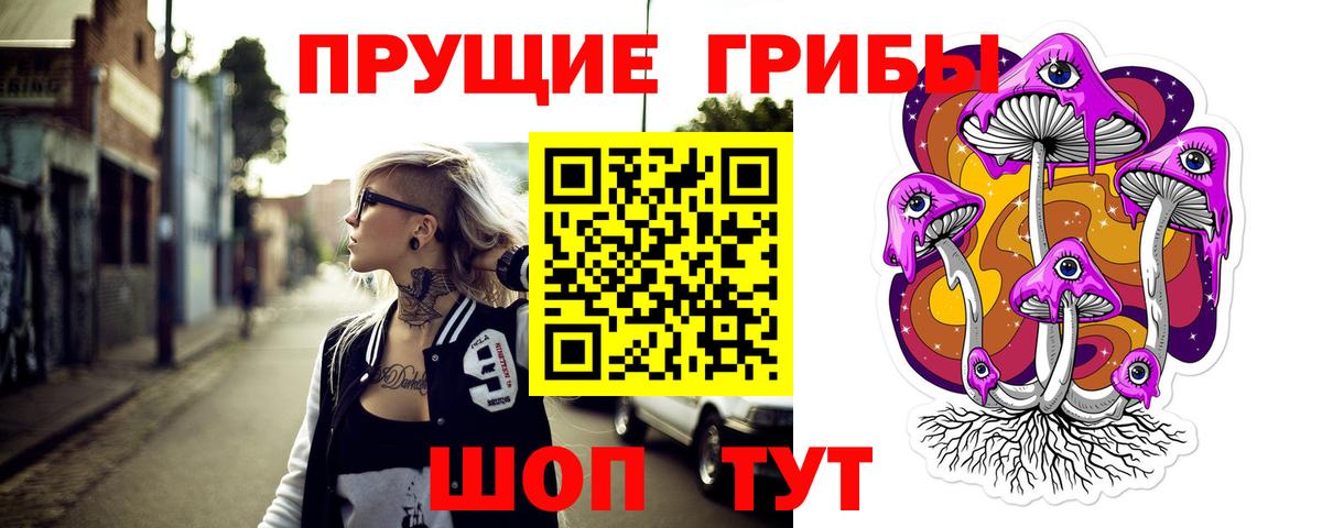 Галлюциногенные грибы Psilocybe Белгород